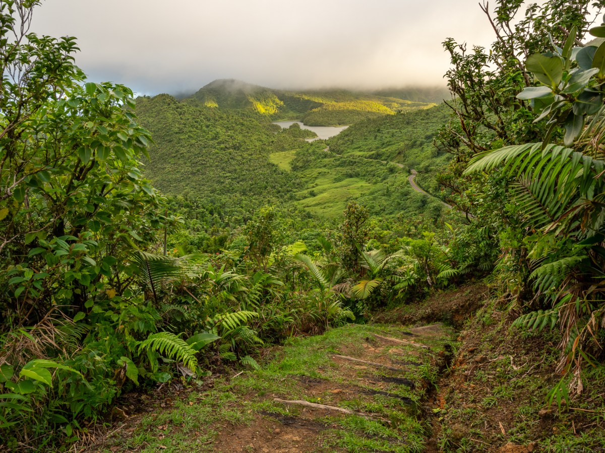 ‘Atiya Firewood’ featured on adda by Commonwealth&nbsp;Writers