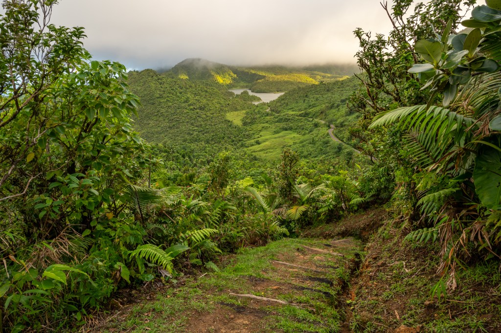 ‘Atiya Firewood’ featured on adda by Commonwealth&nbsp;Writers